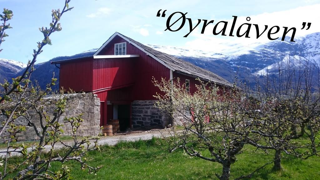 Dalsoren Camping Og Hytter Luster Dış mekan fotoğraf