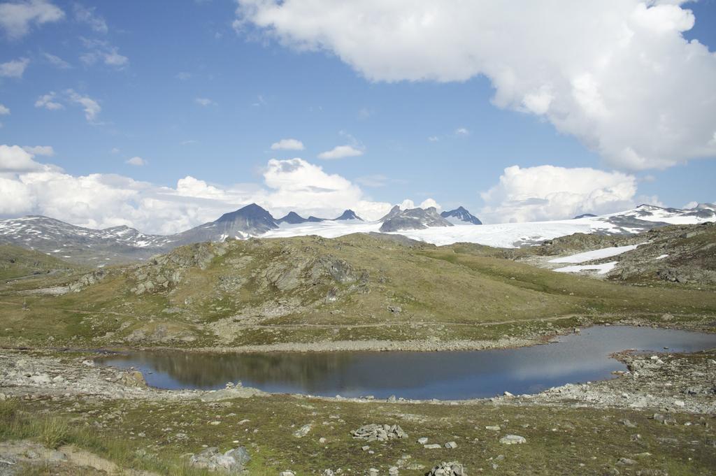 Dalsoren Camping Og Hytter Luster Dış mekan fotoğraf