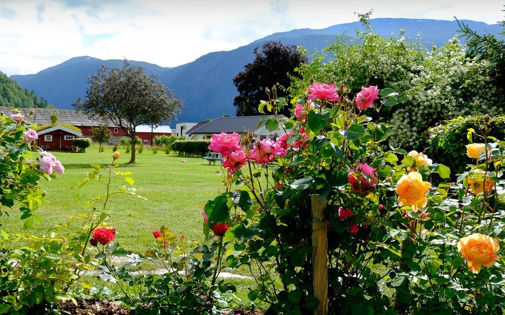 Dalsoren Camping Og Hytter Luster Dış mekan fotoğraf