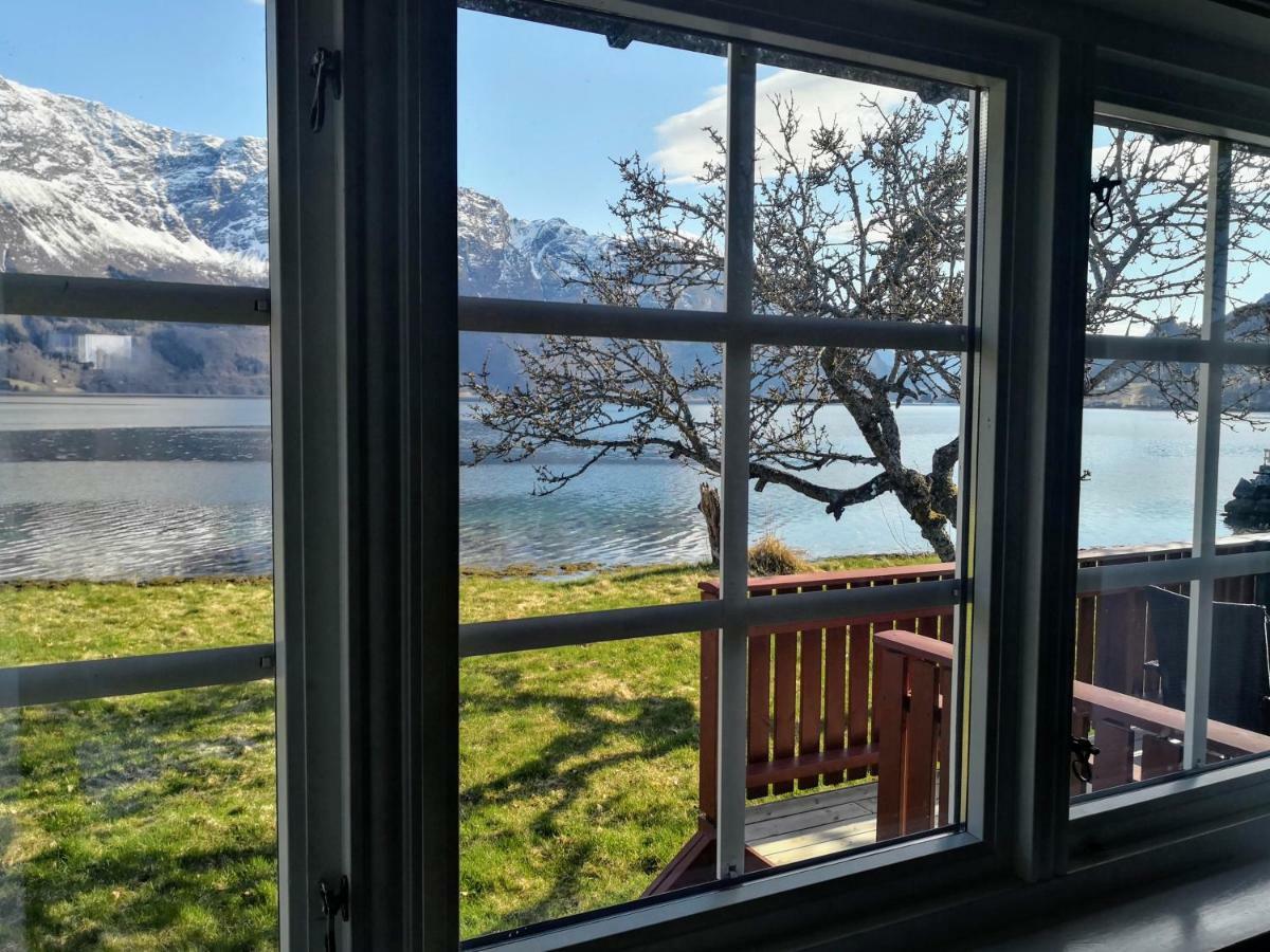 Dalsoren Camping Og Hytter Luster Dış mekan fotoğraf